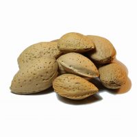 فروشگاه اینترنتی آجیل ماجیل