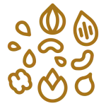 خشکبار