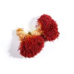 زعفران دخترپیچ