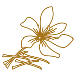 زعفران