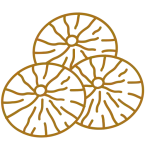 میوه خشک